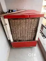 Desert cooler