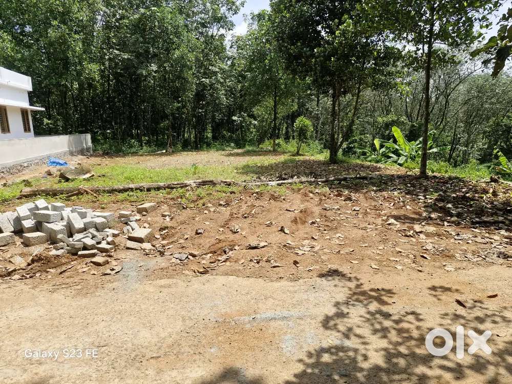 മടക്കത്താനം ഭാഗത്ത് 11 cent Plot വിൽപ്പനയ്ക്ക്