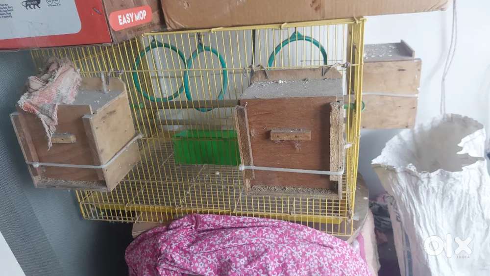 Bird cage for sale