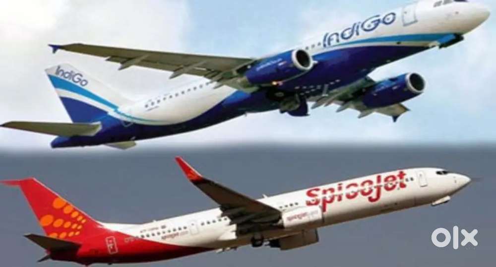 job openings at airport for ticketing agent in ground staff.