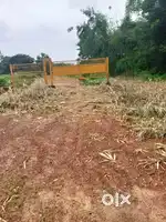 Low price plot near
