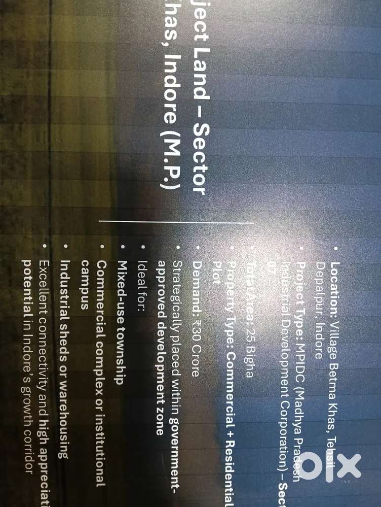 25 Bigha Land for sale in Betma khas village, Depalpur, Indore