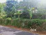 പ്രക്കാനം, ഓമല്ലൂർ