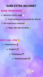 Online business opportunity for 18+