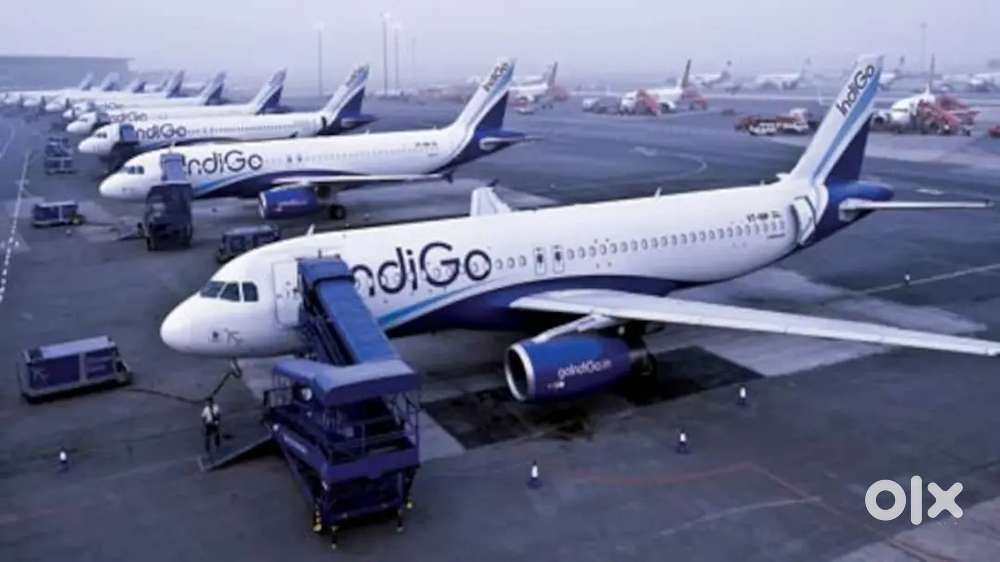 Cabin Crew/ Airport Ground Staff Jobs in Indigo limited vecancy