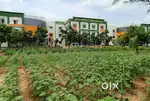 Vacant Housing Plot for Sale