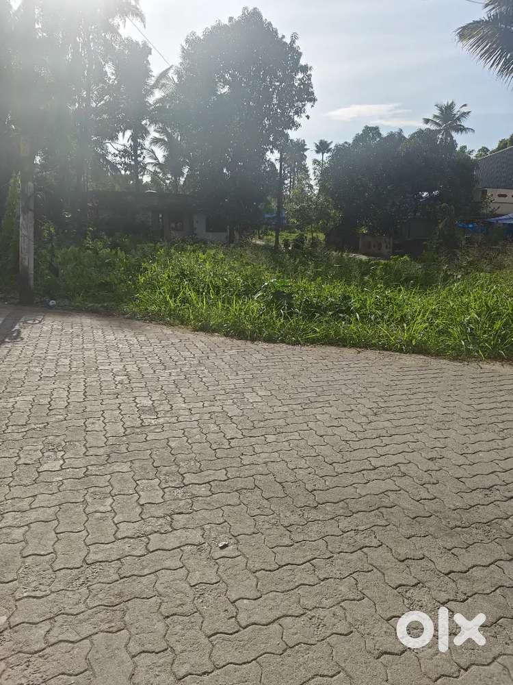 30 Cent Residential/Commercial Land for Sale in Vengola,Perumbavoor