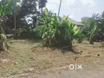 10 CENT INDIVIDUAL HOUSE PLOT SALE IN THIRUVANKULAM