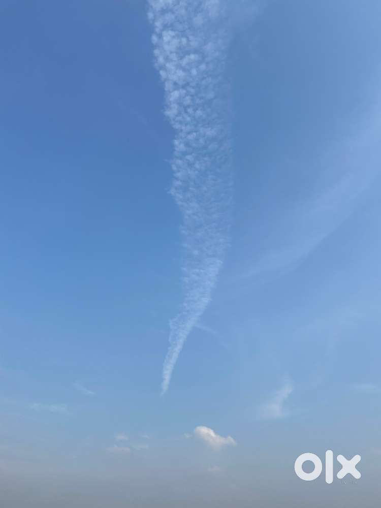 need a fast food chef