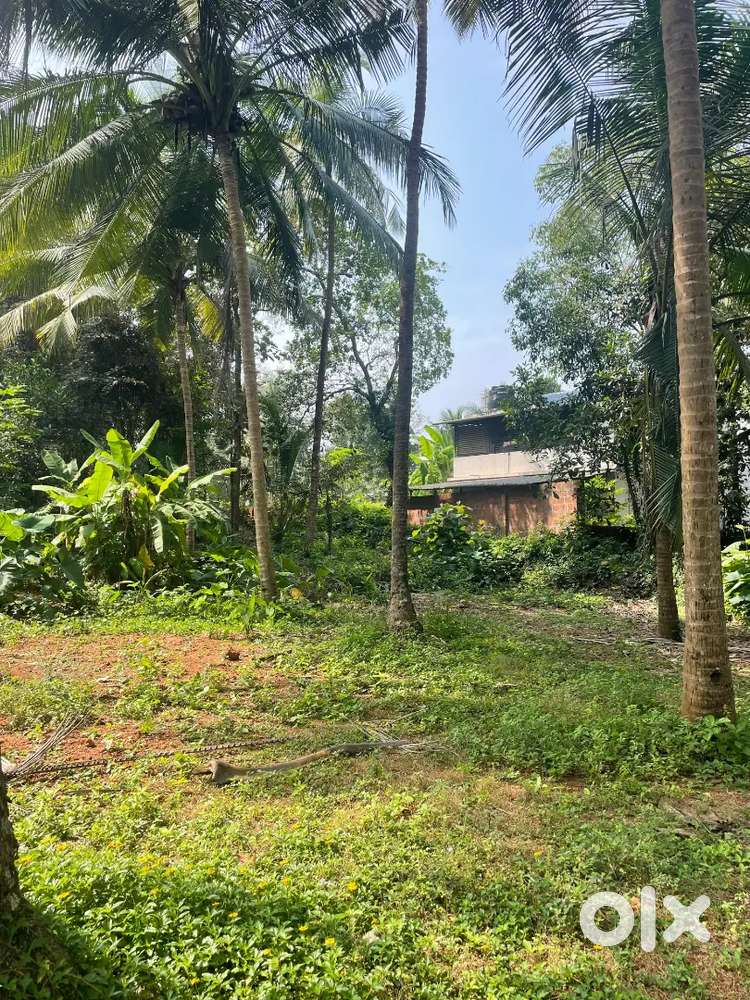 10 cent plot for sale at Ithilparamb, Malappuram