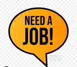 I need a job