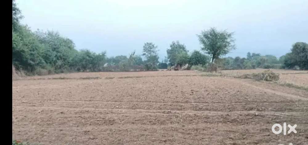 Plot for sale at Khandli Palma Road