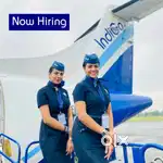 Cabin Crew/ Airport Ground Staff Jobs in Indigo Airlines Apply Fast.