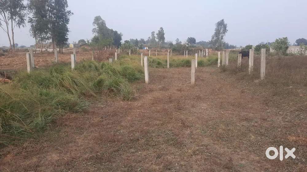 Sale my plot 2500 sqft sanik dhaba