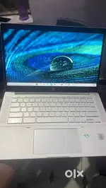 Hp chorme book