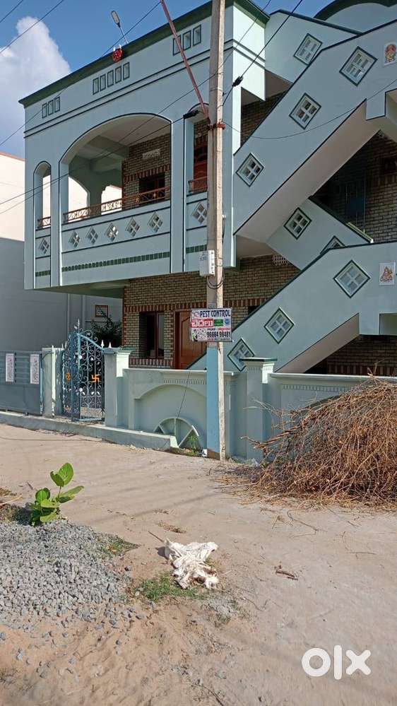 Individual house with sealing and wood work and spacious two halls