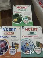 Ncert punch
