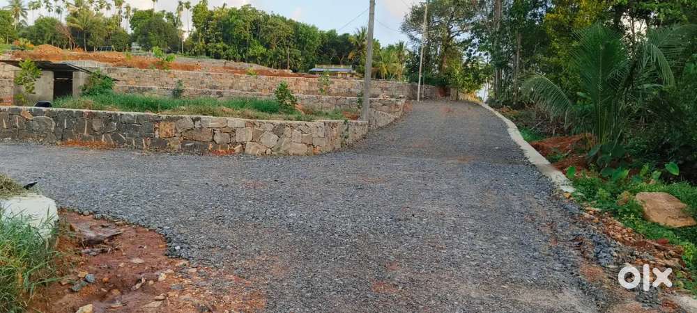NEAR ANGAMALY ST.MARY'S CHURCH ELAVOOR 4,5,6,10 CENT PLOTS AVAILABLE