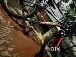 Hawk Fat cycle perfect condition 1 Year old  perfect for daily use