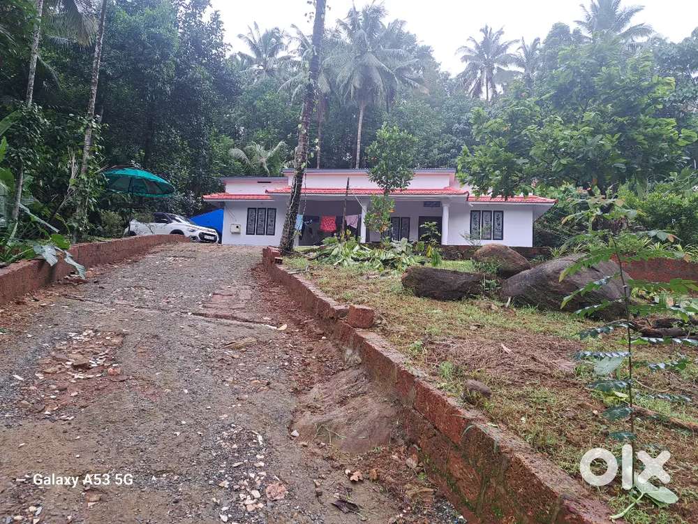 3 acre land with 1600sqft house ( 5 yr old) and 4000sqft paultry farm