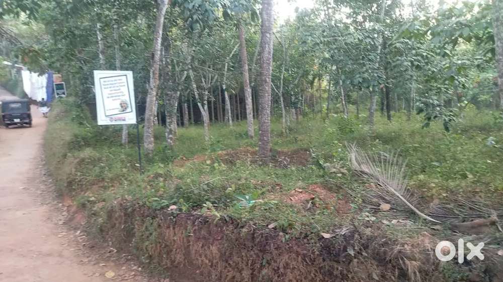 Land for sale 10 cent or 13 cent