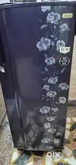 Godrej edge sx fridge