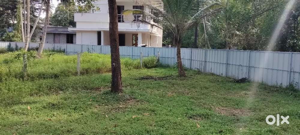 4centവെള്ളിയാകുളം സ്കൂളിന് സമീപം1.90 ചോദ്യം ഒരു സെന്റിന്