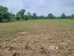 I want to sell my Industrial Plot Maswad GIDC Phase- II