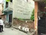 Plot 71gaj sainikenclave mohan garden dwarka mor sale rs 5150000