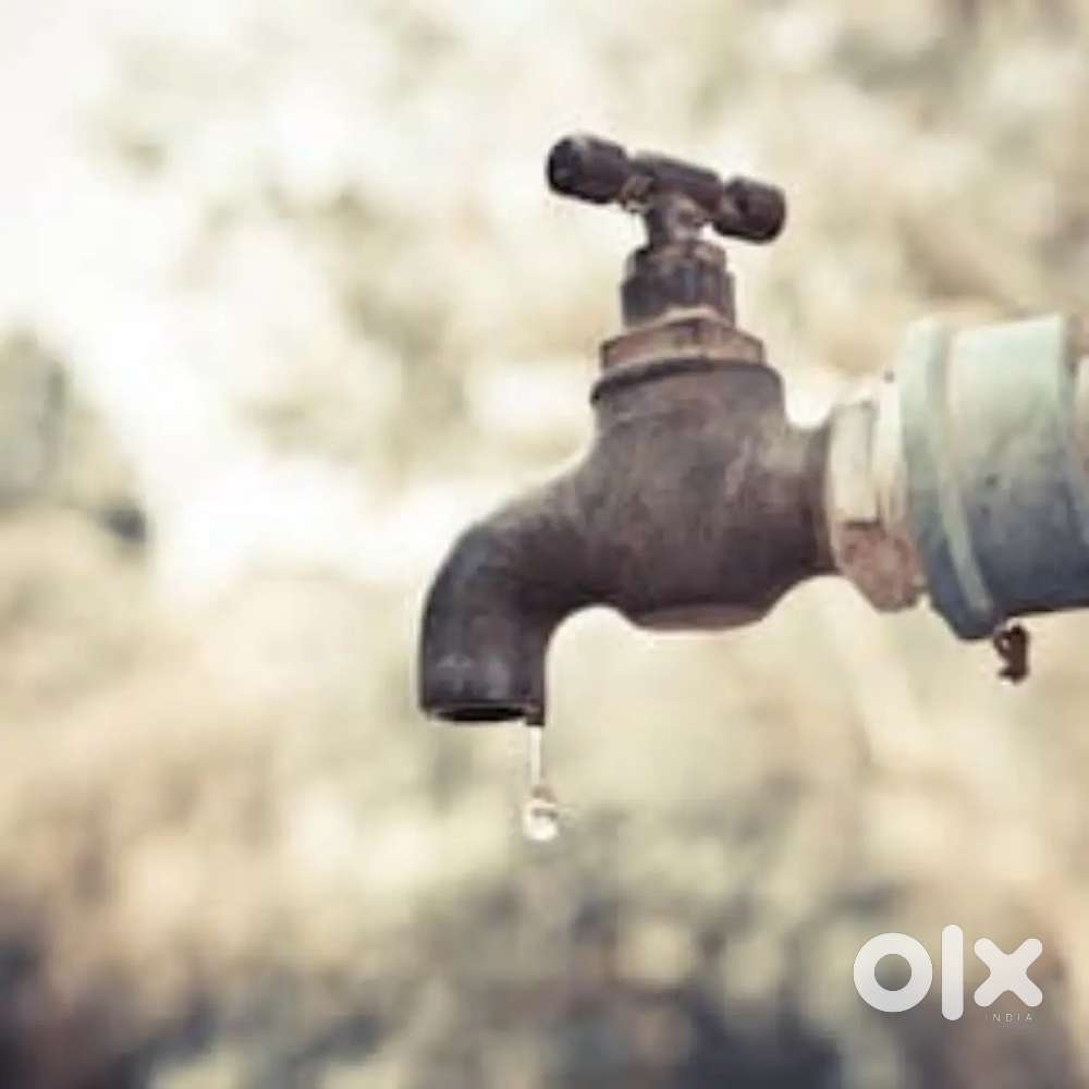 All kinds of computer work.