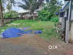 4.25 cent house plot for sale at Aluva
