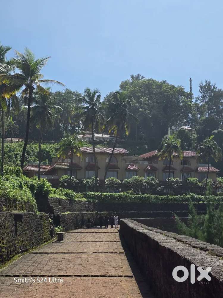 Front Office Executive