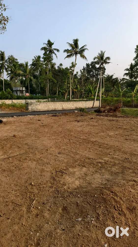 HOUSE PLOT FOR SALE NEYYATTINKARA
