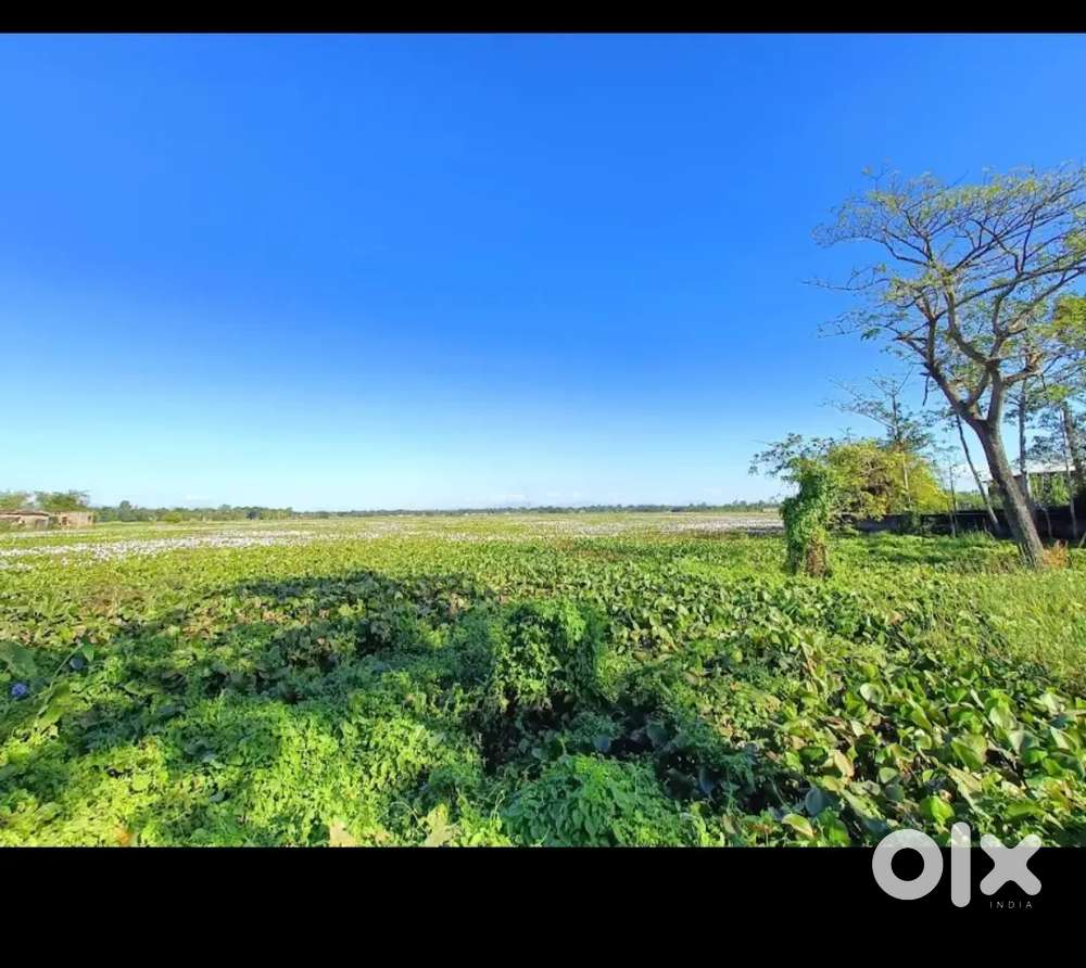 Land for sale at berenga pt 3