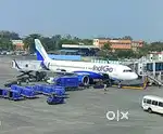 350+ seats Hiring Male Female Candidates in INDIGO AIRLINES
