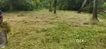 Land for sale near kumbalam railway station