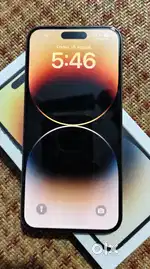 14 Pro Max