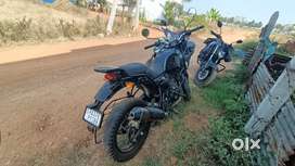 I want to sell himalayan