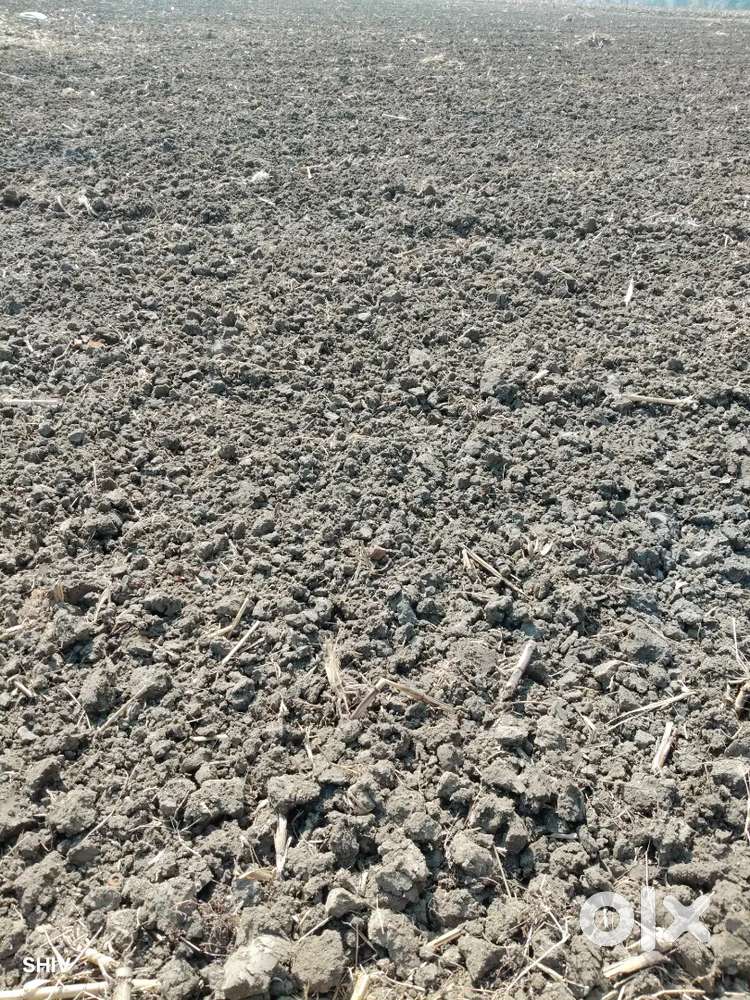 Best quality and best price