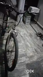 Brand New Cycle