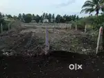 Residential Plot for Sale at Vishrambag