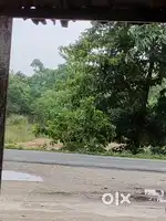 High road ke samne hai panch Katha hai bhest jameen hai