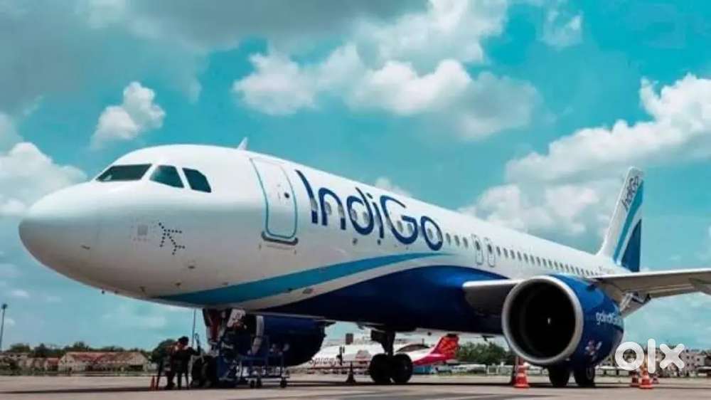 Airlines Vacancy Available For Ground Staff Jobs In IndiGo Airlines