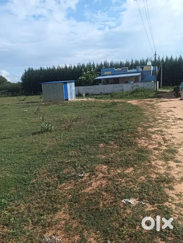 Premium ready to move plot