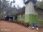 Farm  Land For Sale In Pulpally Wayanad
