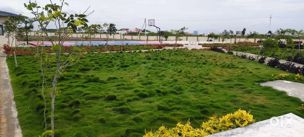 LOW BUDGET DTCP LAND FOR SALE IN PAPPAMPATTI COIMBATORE!!