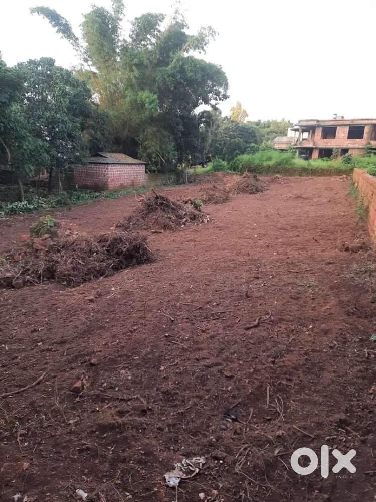 20 Cent land/plot for sale