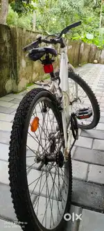 2 years old # 4500