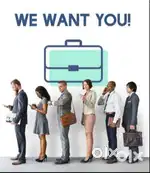Sales executive