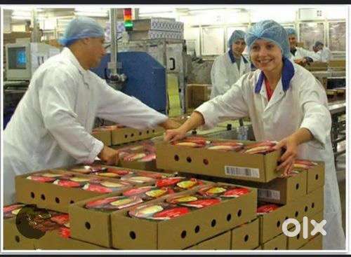 (HR VISHAL SINGH)@WAREHOUSE PACKAGING JOB